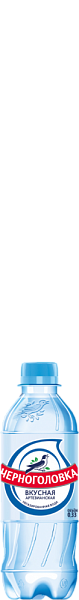 Черноголовка артезианская 0,33 л ПЭТ негазированная